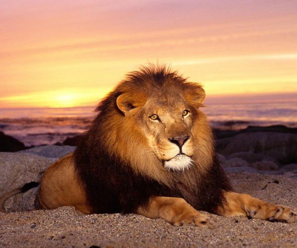 Руслан Ахметов