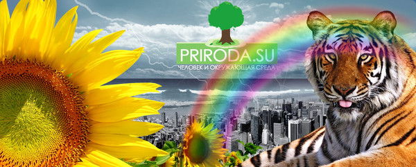 Виктор Калашников