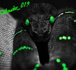 Валерий Базарев