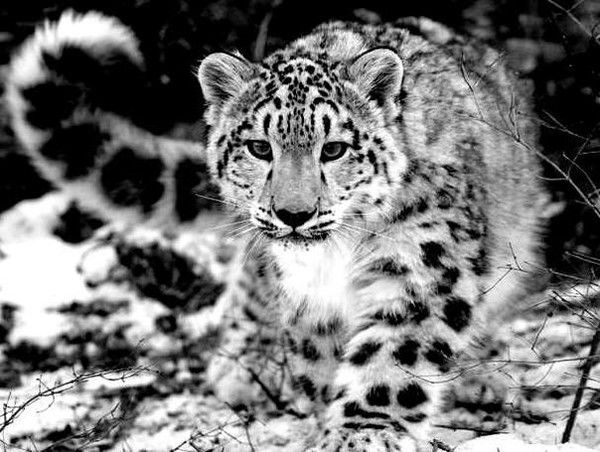 Анна Настачук