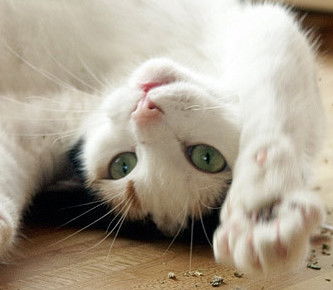 Валентина @->