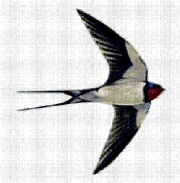 Руслан Эришев