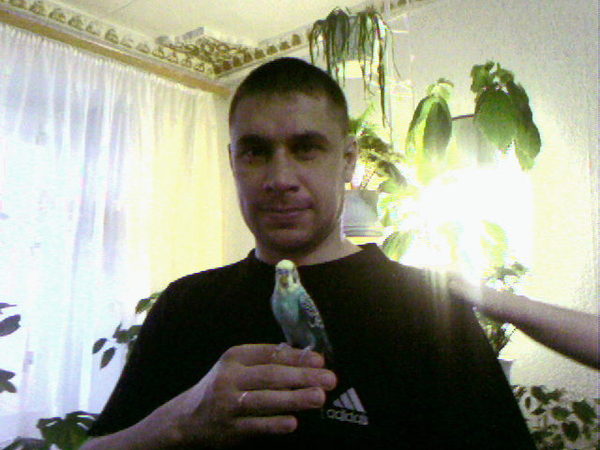 Андрей Болгов