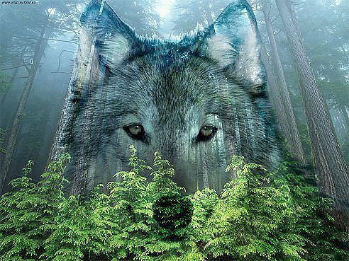 Федор Лютов