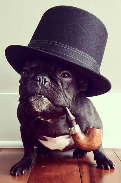 Сергей Доронин