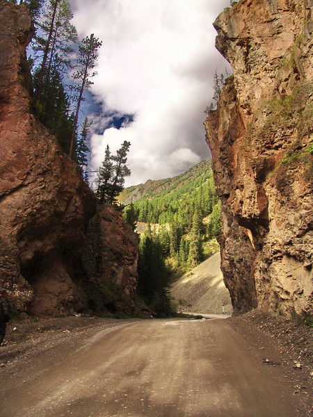 Светлана Пустовит