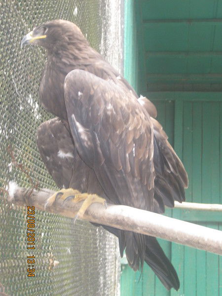 Санёк Санёк