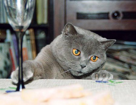 Аглес Изтлеуова