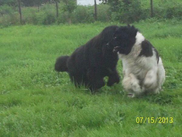 Емельян Малинина