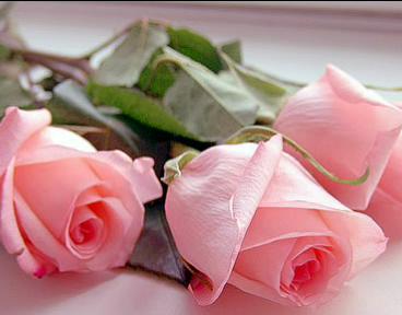 Маржан Изтурганова