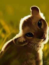 Дарья Сфисткова