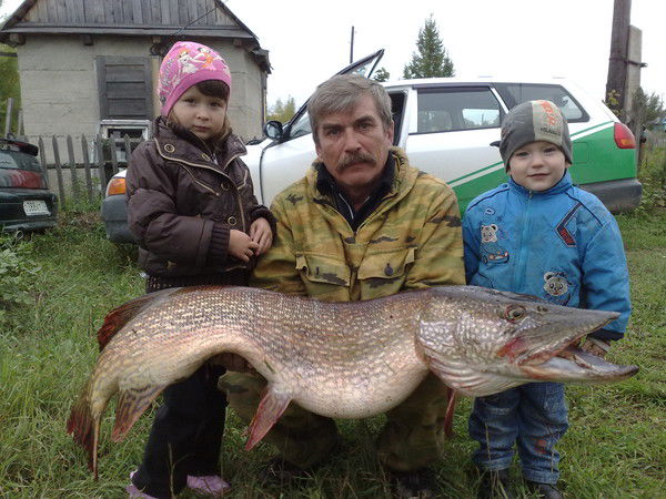 Игорь Юркин