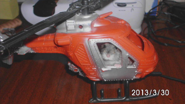 Татьяна Мардашева