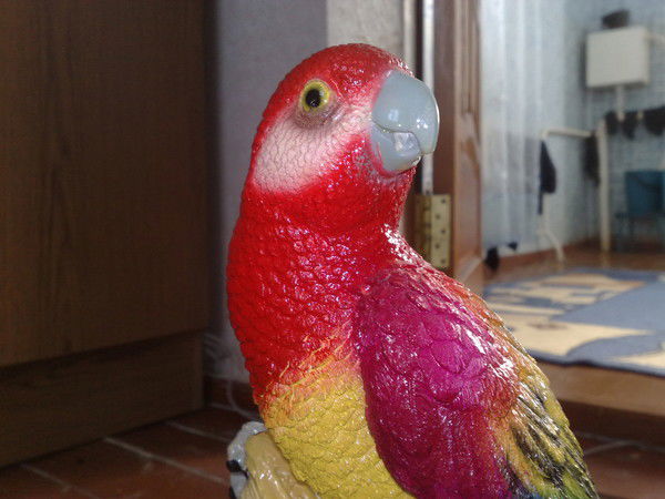 Оленька Дунаева