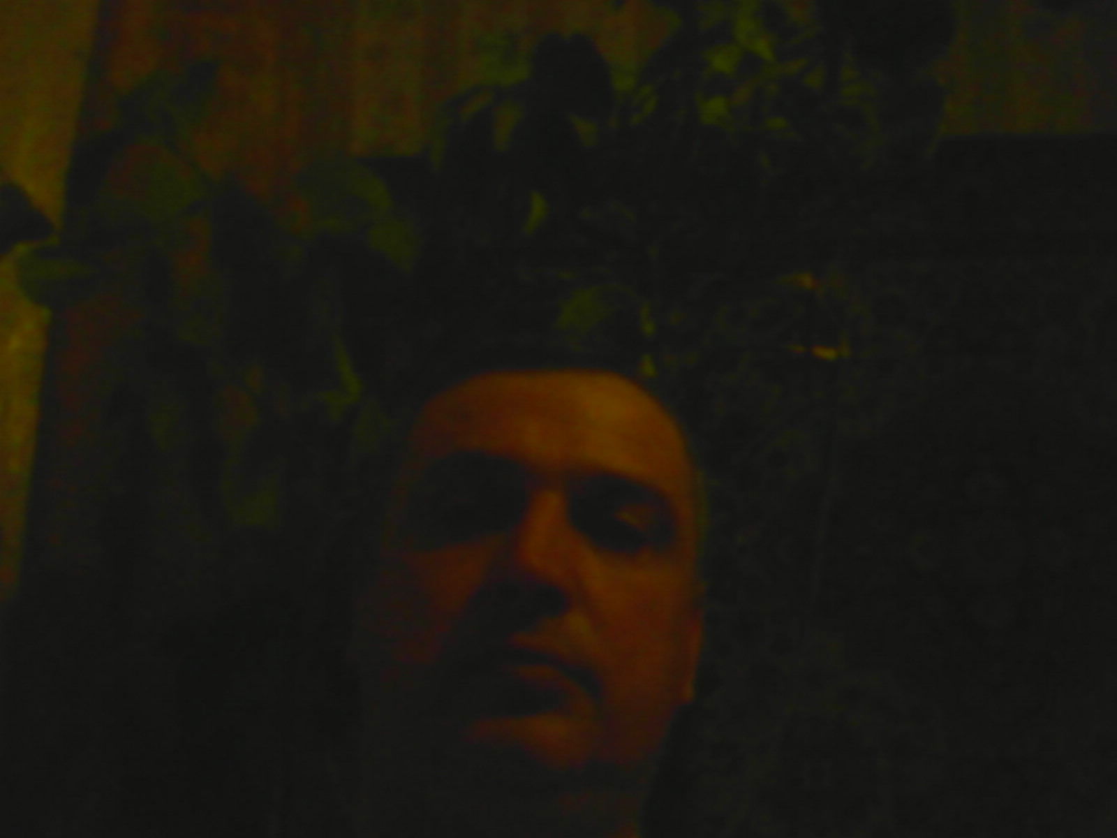 Леонид Вавилов