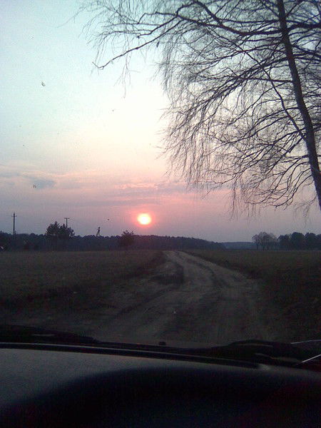 Дима Шляхтун