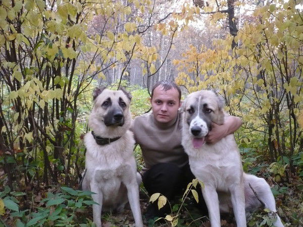 Дмитрий Федотов