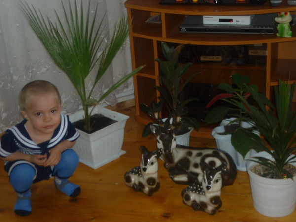 Альфира Назипова