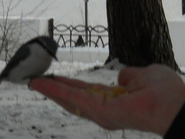 Валерий Петров