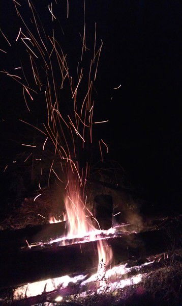 Сергей Мелехин