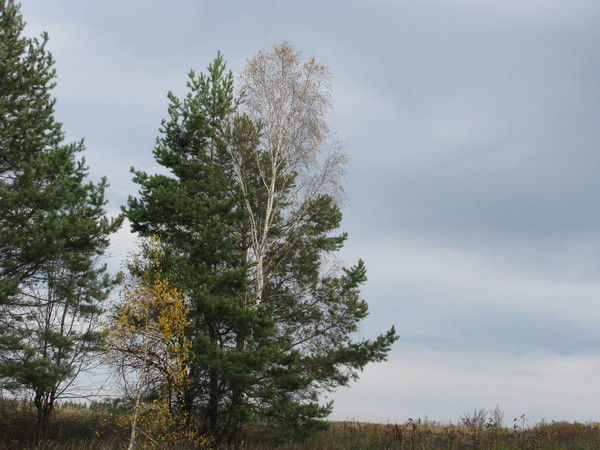 Бахтиёр Шарипов