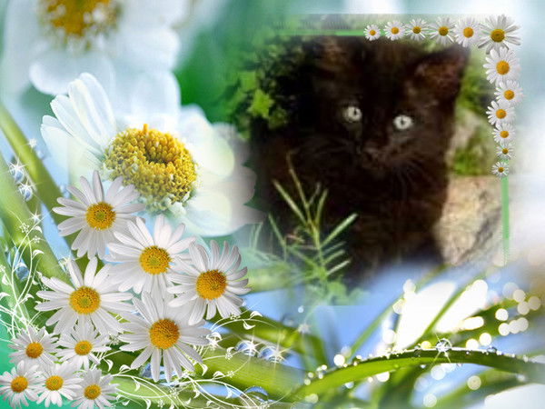 Татiana ...........