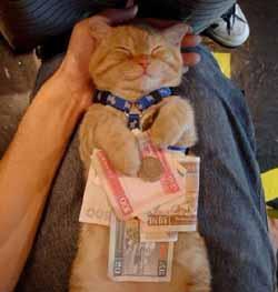 Алексей Липатников