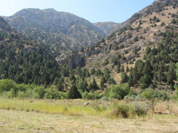 Александр Семиряков