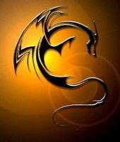 Неизвестно Неизвестно