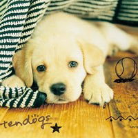 Римма Саргсян