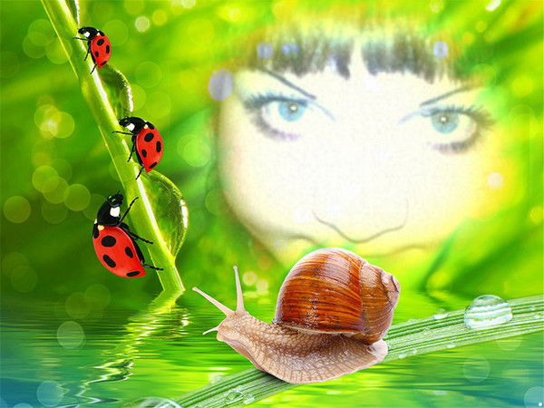 Лера Сазанович(Шамова)