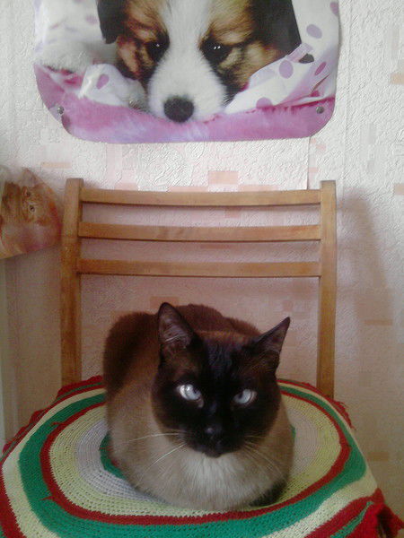 Ленушка Умница