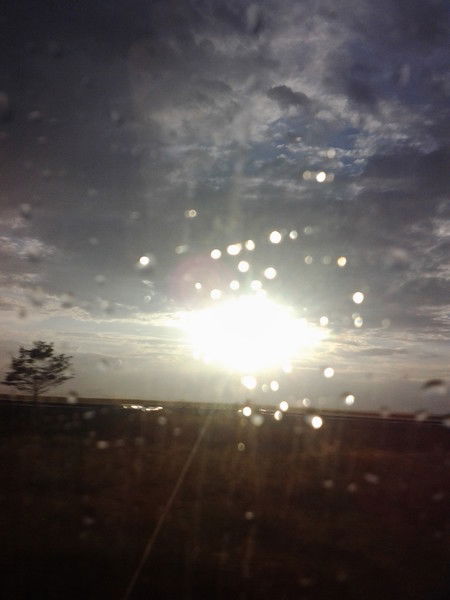 Елена Хижнякова