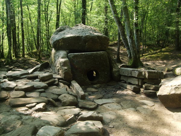 Николай Рондов