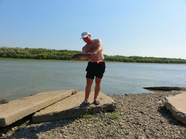 Неизвестно Неизвестно