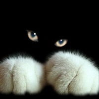 Надежда Новак