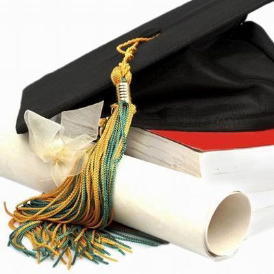 Елена Цветкова