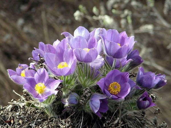 Эльвина Кабирова