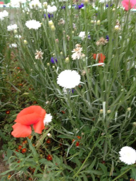 Оксана Хатян