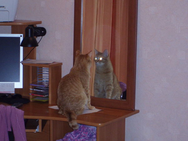 Сергей Калкатин