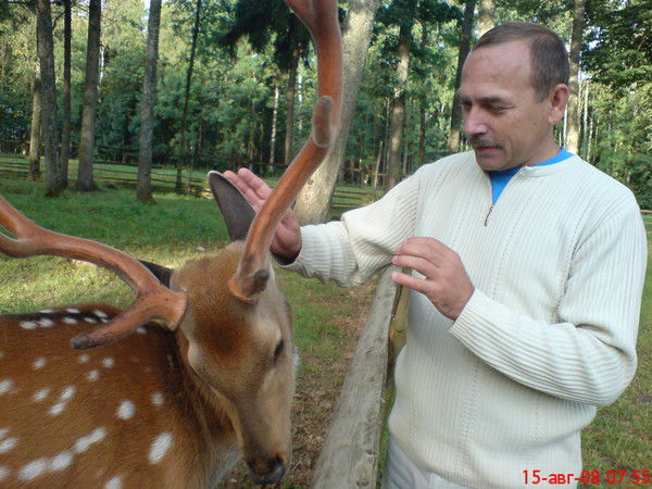 Виктор Стрельников