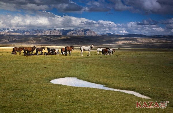 Нурдаулет Утесинов