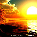 Arzu 79