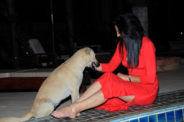 Анна Селемет