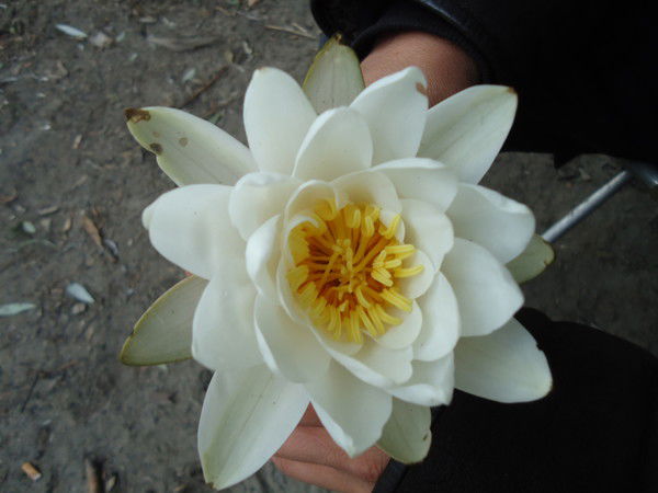 Владислав Ковтуненко