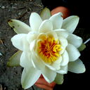 Владислав Ковтуненко