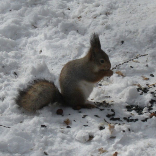 Наталья Белова