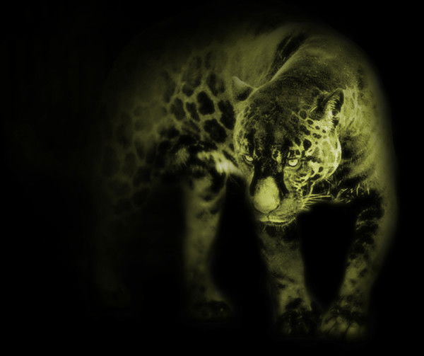 Стефан Сазонов