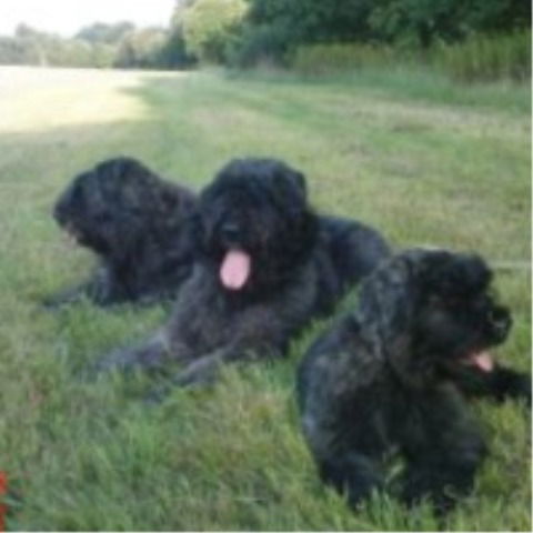 Юлия Устинова