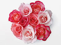 Арайлым ,,,,,